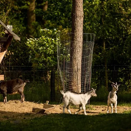 Gosciniec Pod Zajacem Oleśnica