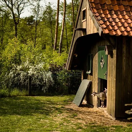 Gosciniec Pod Zajacem Bed & Breakfast 4*