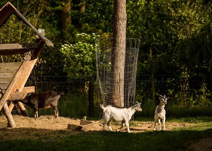 Gosciniec Pod Zajacem Olesnica (Lower Silesia)