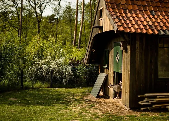 Gosciniec Pod Zajacem Bed & Breakfast 4*