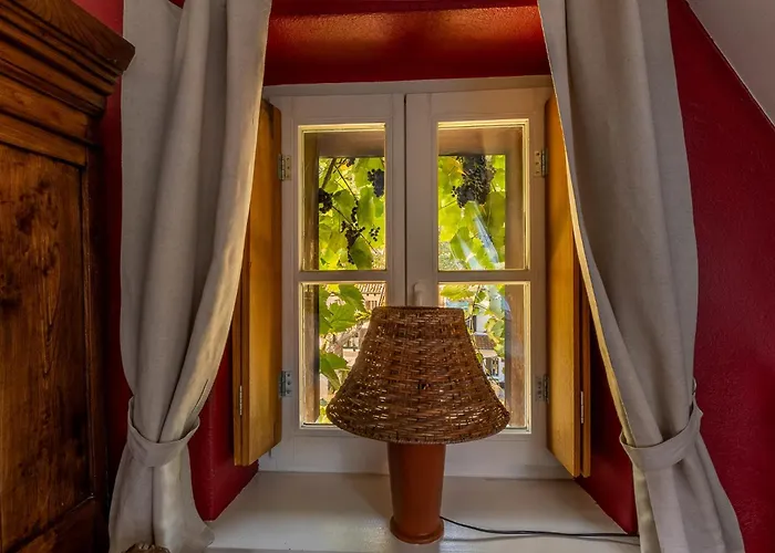 Gosciniec Pod Zajacem